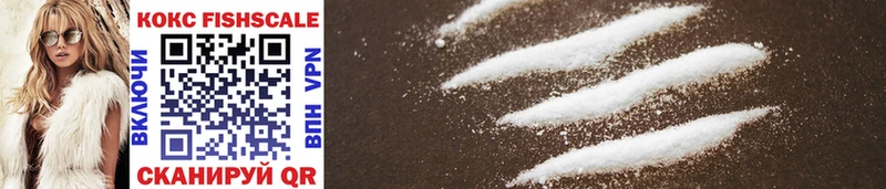 Купить закладки  Дзержинск  КОКАИН FishScale 