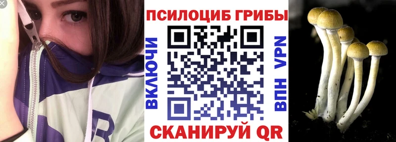 Галлюциногенные грибы Psilocybine cubensis  Купить закладки  Дзержинск 