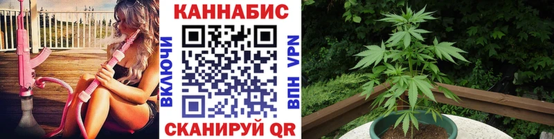 Купить где  Дзержинск  Марихуана марихуана 